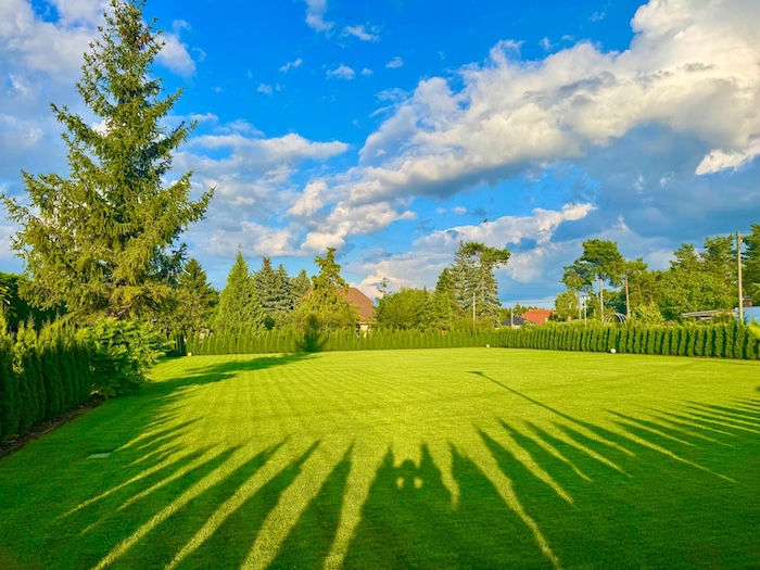 Innovative Gartenbewässerung | für die Zukunft